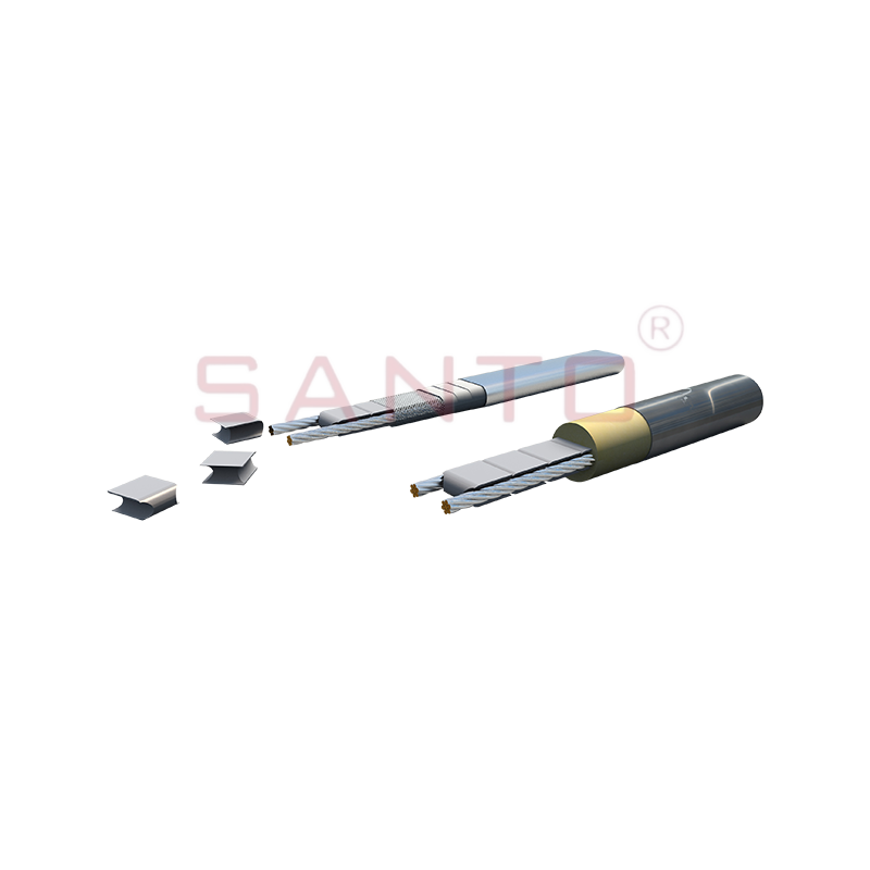 SANTO UFI